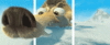 GIF animado (67872) Scrat hocico
