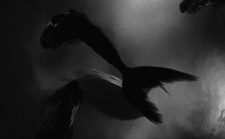 GIF animado (68097) Sirenas