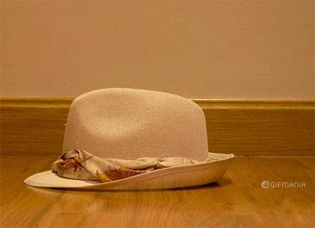 GIF animado (65772) Sombreros