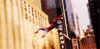 GIF animado (69889) Spider man telarana