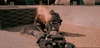 GIF animado (68788) Starship troopers