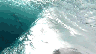 GIF animado (66379) Surfista ola
