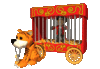 GIF animado (64392) Tigre jefe de pista enjaulado