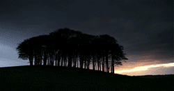 GIF animado (66007) Tormenta sobre bosque