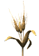 GIF animado (73407) Trigo moviendose