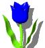 GIF animado (73220) Tulipan azul