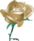GIF animado (73146) Una rosa blanca