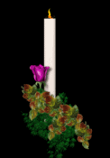 GIF animado (61677) Vela y rosa