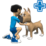 GIF animado (72750) Veterinario perro