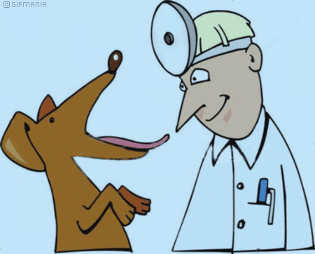 GIF animado (72753) Veterinario perro