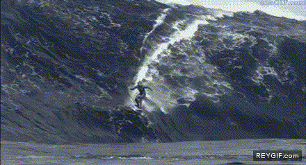 GIF animado (89376) A esto se le llama cabalgar una ola