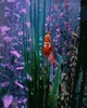 GIF animado (80751) Acuario