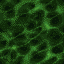 GIF animado (85692) Agua verde