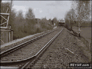 GIF animado (89612) Alguien quiere viajar en tren