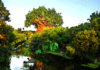 GIF animado (80644) Animal kingdom