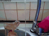 GIF animado (89519) Asi te banas cuando el agua esta fria