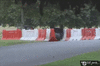 GIF animado (90146) Aves aficionadas a la f1