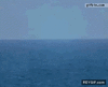 GIF animado (88695) Avion sale del oceano