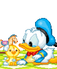 GIF animado (84313) Baby pato donald