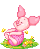 GIF animado (84592) Baby piglet