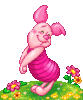 GIF animado (84597) Baby piglet