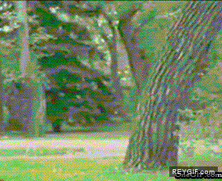 GIF animado (87767) Backflip en el parque