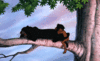 GIF animado (82836) Bagheera mowgli durmiendo