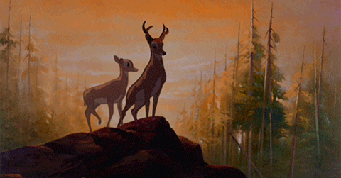 GIF animado (81779) Bambi faline