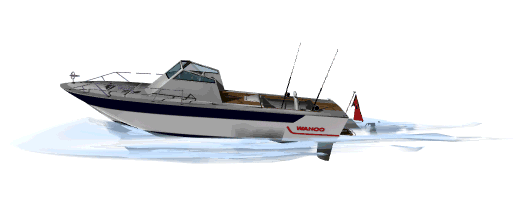 GIF animado (78298) Barco para pescar