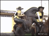 GIF animado (88206) Caballo caliente