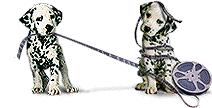 GIF animado (81177) Cachorros dalmatas