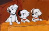 GIF animado (81174) Cachorros dalmatas enfadados