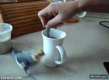 GIF animado (88587) Cafe cafe cafe cafe cafe cafe cafe