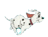 GIF animado (81182) Cahorrito dalmata