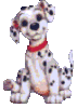 GIF animado (81183) Cahorrito dalmata