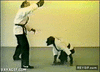 GIF animado (86835) Chimpance karateka