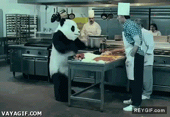 GIF animado (87062) Con el panda no se juega
