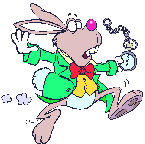 GIF animado (81660) Conejo blanco