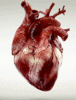 GIF animado (77016) Corazon sangriento latiendo