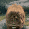GIF animado (82410) Cronicas de narnia