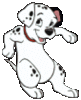 GIF animado (81198) Dalmata