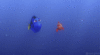 GIF animado (80777) Dory marlin