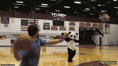 GIF animado (87663) Dulce suenos senor panda