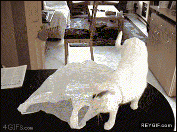 GIF animado (88383) El gato de la bolsa