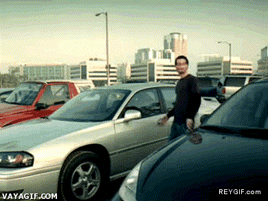 GIF animado (89707) El mono el mejor amigo de un hombre con coche