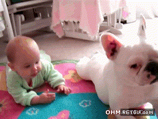 GIF animado (87482) El perro que ensena al bebe a gatear