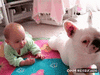 GIF animado (87482) El perro que ensena al bebe a gatear