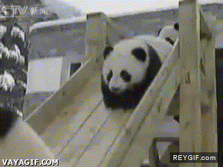GIF animado (87134) El tobogan de los pandas