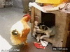 GIF animado (87118) El viola gallinas