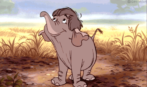 GIF animado (82872) Elefante junior